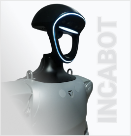Cabeza Robot